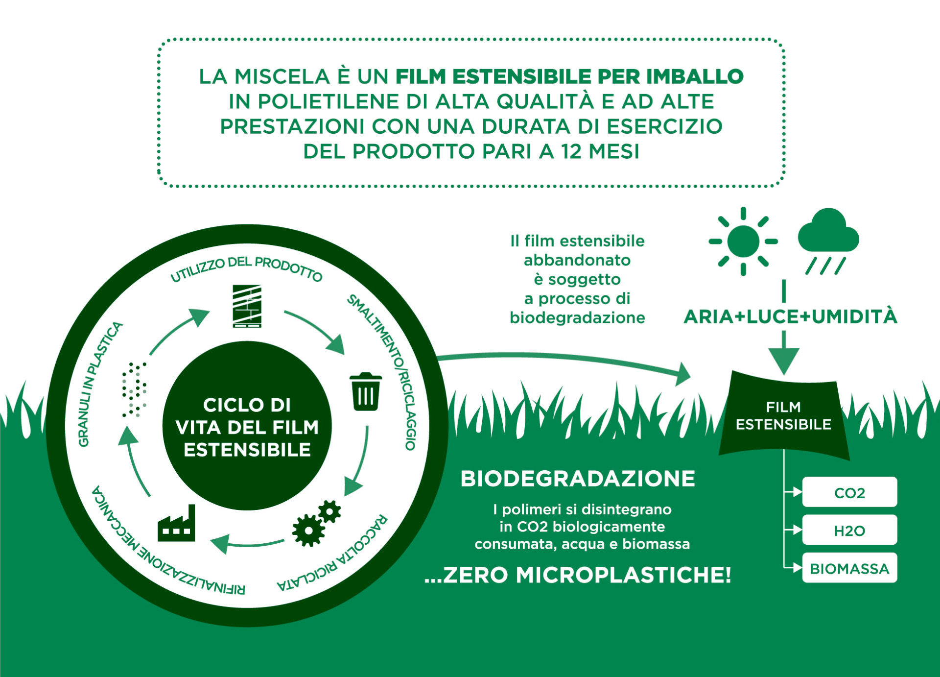 Ciclo di vita del film estensibile biodegradabile